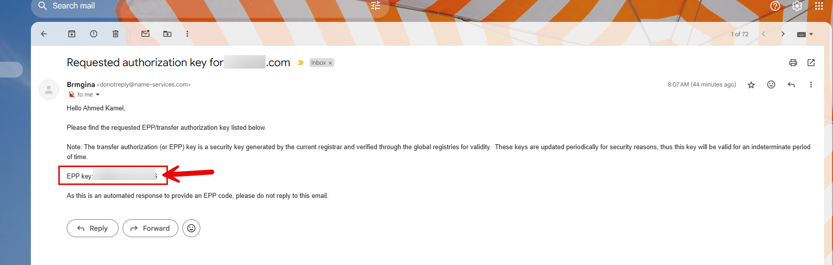 EPP/Auth Code Email Sample