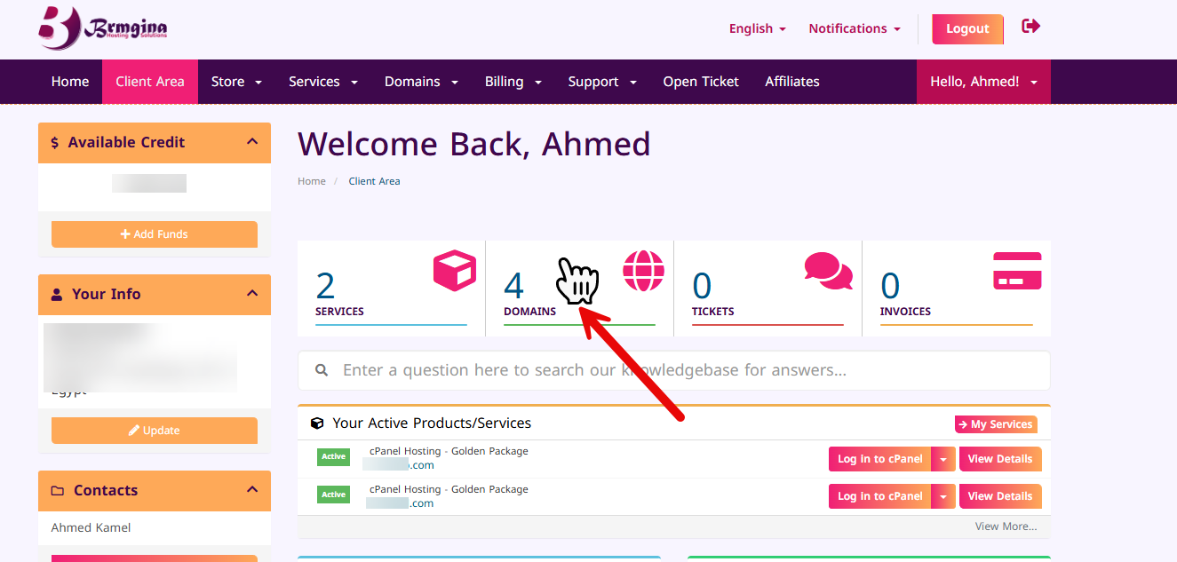Navigate to the Domains section
